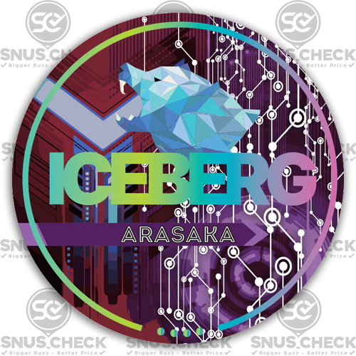 ICEBERG Arasaka