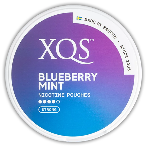 XQS Blueberry Mint Strong